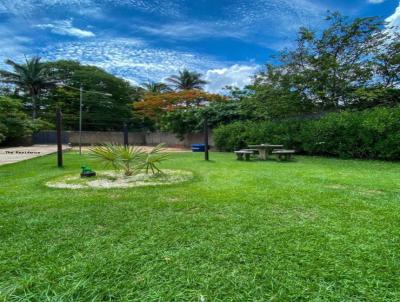 imagem-miniatura